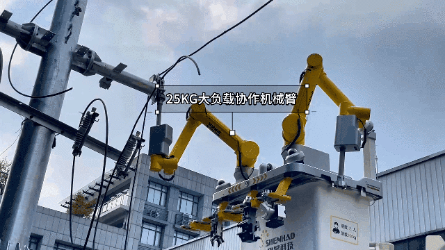 韦德1946·(中国区)官方网站